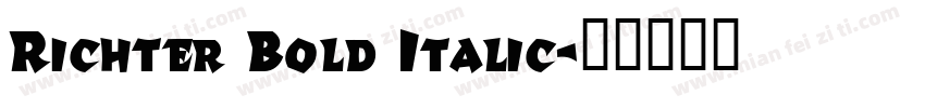 Richter Bold Italic字体转换